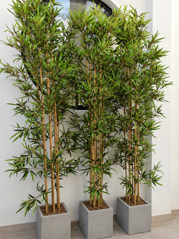 allestimenti case private con bambu di my garden napoli
