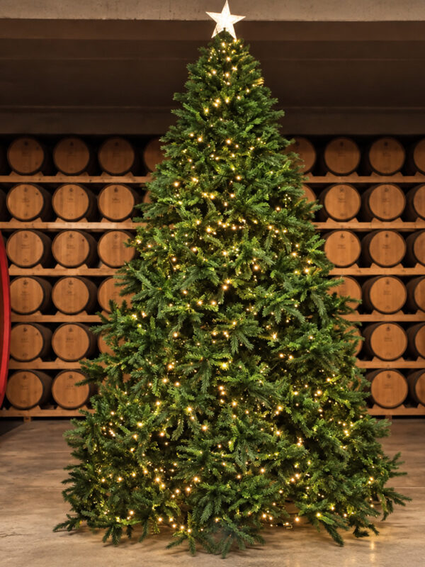 albero natale my garden ecologico per cantina
