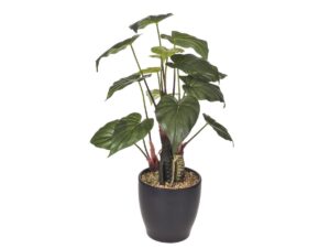 Anturium Artificiale 56cm