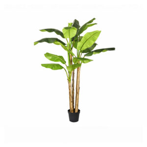 Banano Artificiale 240cm 3 Tronchi