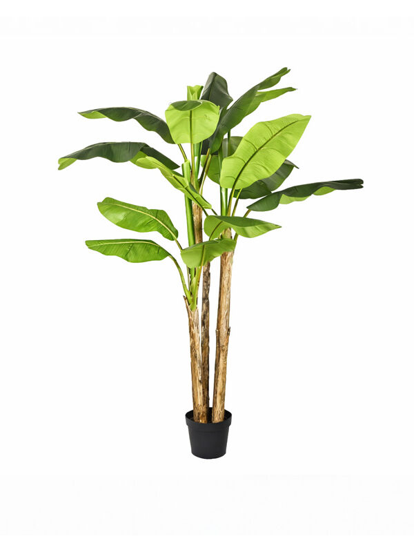 Banano Artificiale 240cm 3 Tronchi