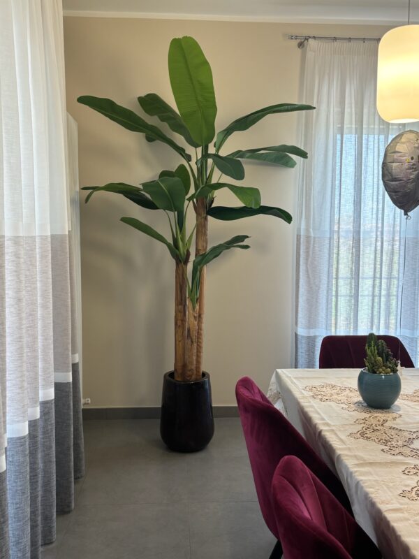 Banano artificiale in soggiorno, allestimento casa privata My Garden Napoli