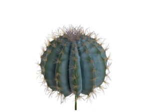 Cactus Grusone Artificiale Verde