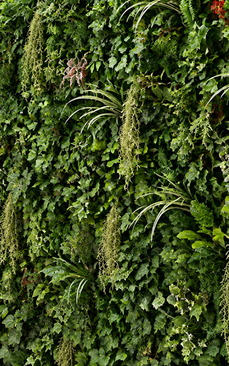 parete artificiale di my garden napoli