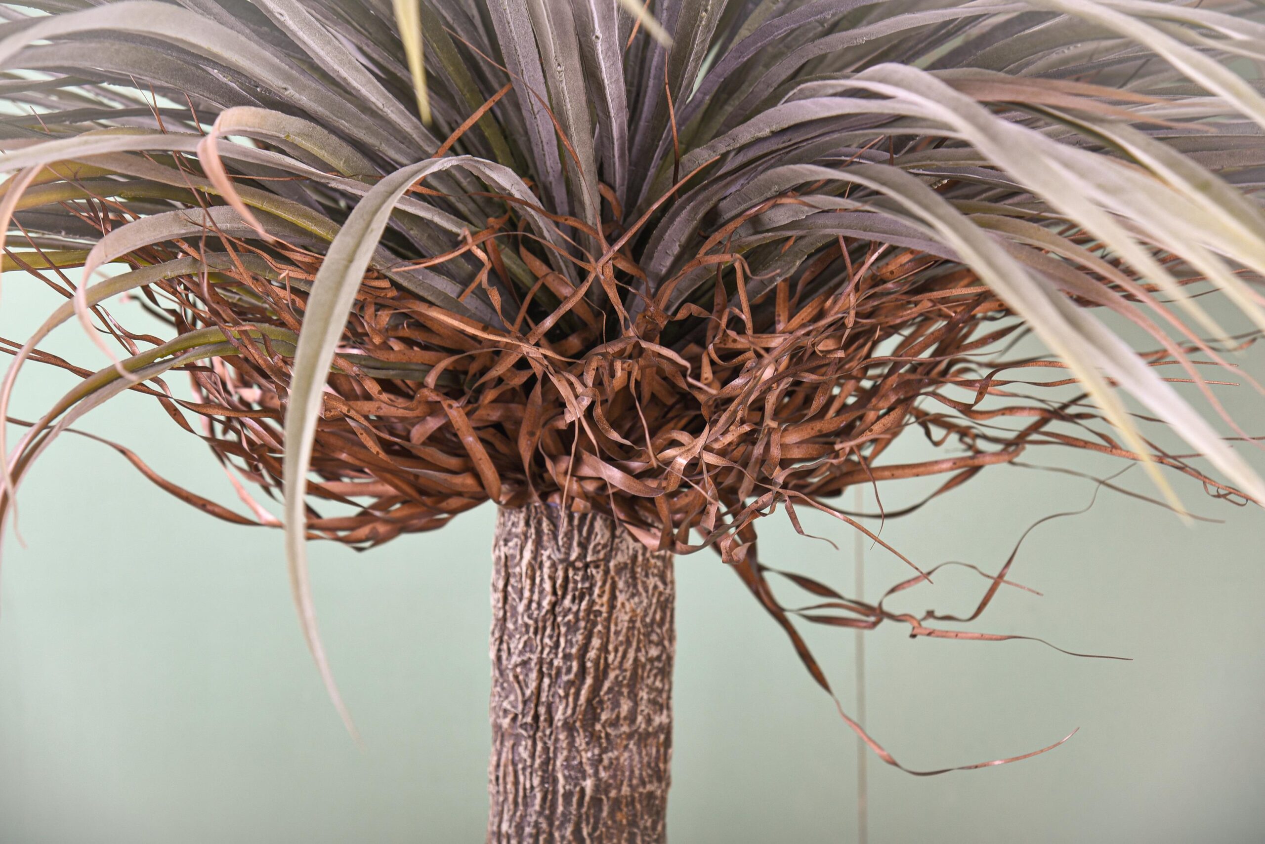 Pianta Yucca Artificiale 180 cm - Image 2