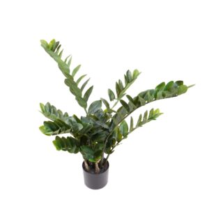 Zamifolia Artificiale 89cm