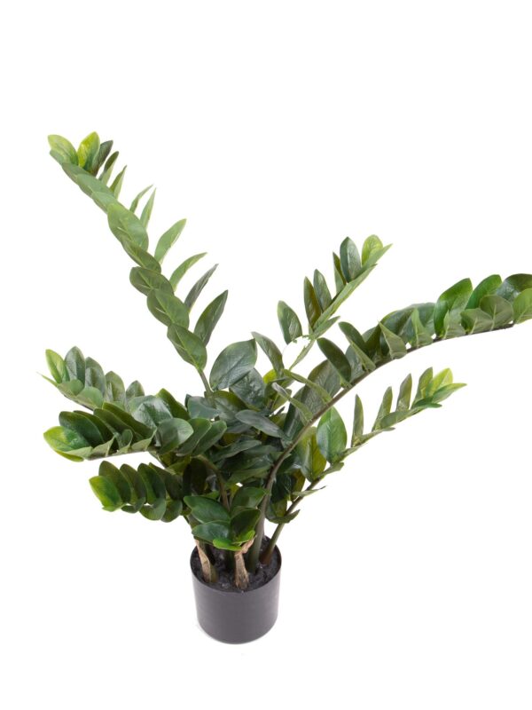 Zamifolia Artificiale 89cm