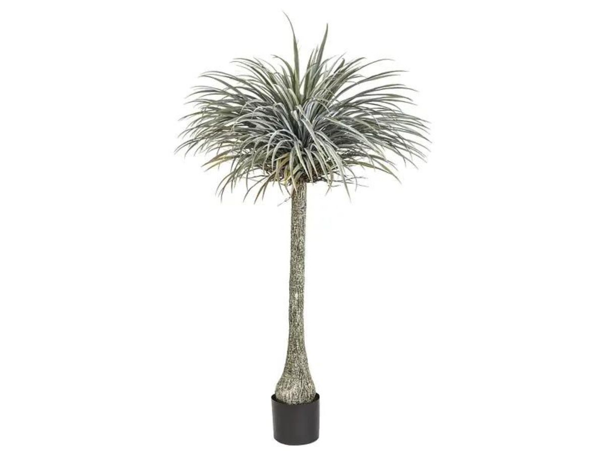 Pianta Yucca Artificiale 180 cm